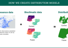 How We're Taking Species Mapping to the Next Level