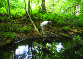 A Bittersweet Goodbye to Steve Faccio