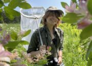 Photo of VCE seasonal technician Juno Stalh with a bug net.