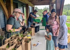 Community Science in Action: How I Recruited 700 Volunteers to Our Plant Ecotype Project