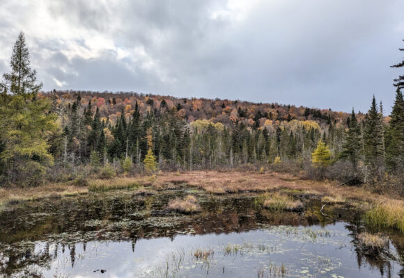 16047, , 250715_Brian, , , image/jpeg, https://media.vtecostudies.org/wp-content/uploads/2025/07/08164617/250715_Brian.jpg, 2500, 1882, Array, Array © VCE Postdoctoral Researcher Brian Kron