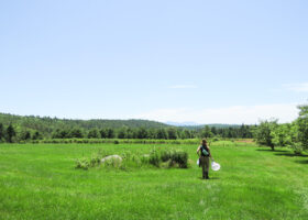 Field Guide to July 2025