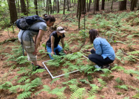 Teaching the Teachers About Community Science