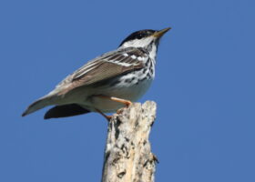 A Letter From Our Executive Director: Prepared for This Moment