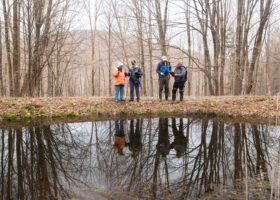 How States Like Vermont Fill the Gaps in Wetland Protection