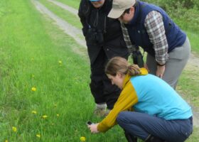 Why We Don't Hoard Data