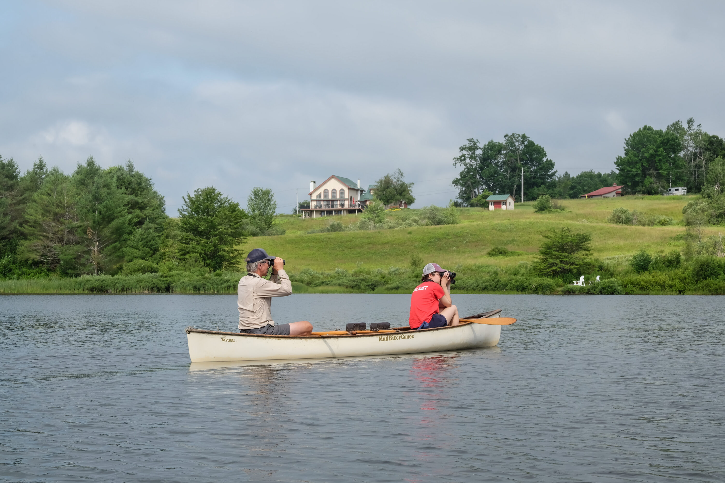 Red-breasted Nuthatch. /© Joshua Lincoln. 
