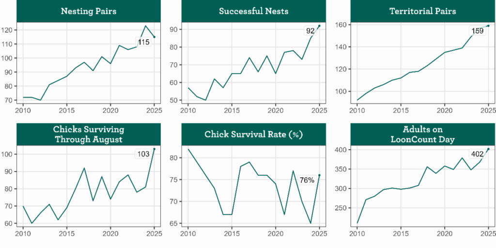 Series of graphs of loons success in Vermont from 2010 to 2025