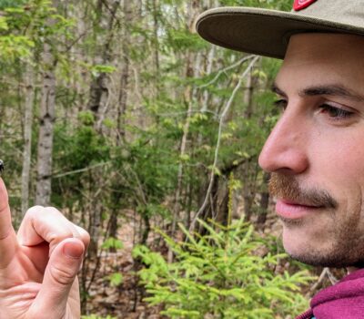 Giant Birch Sawfly on NS finger