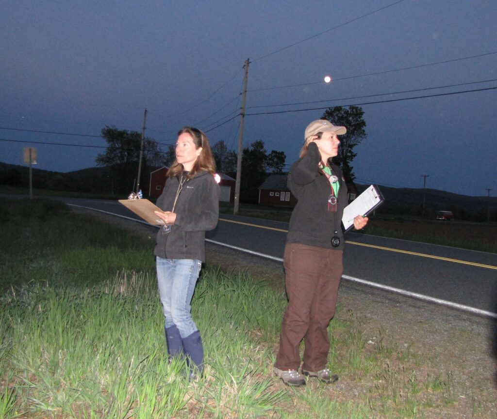 Sara Zahendra and team surveying Vermont Whip-Poor-Wills
