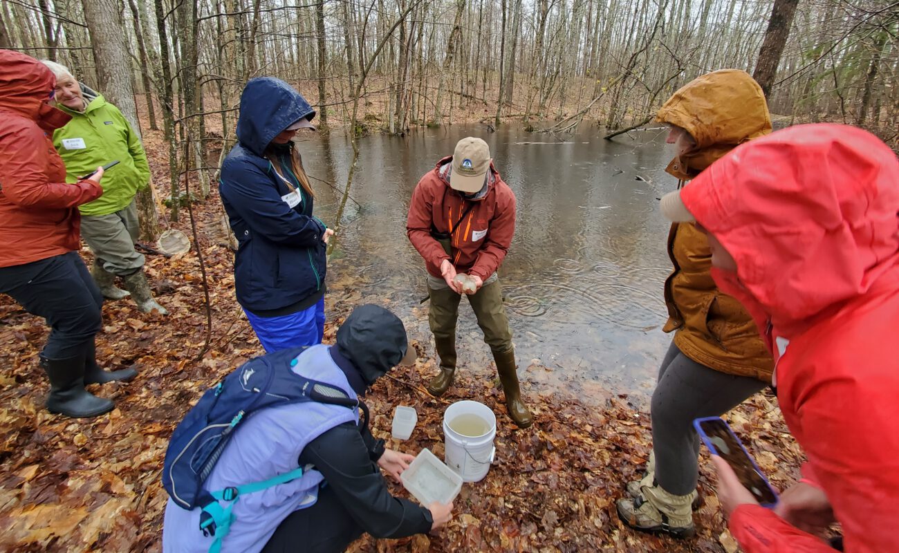 VCE staff and volunteers monitoring salamader eggs in a Vermont vernal pool © Alyssa Fishman