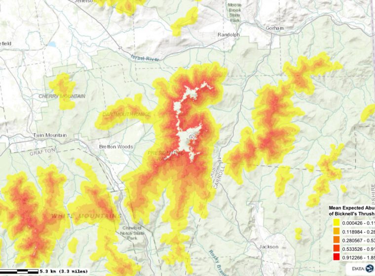 Bicknell's Thrush population map, Mount Washington, 2016