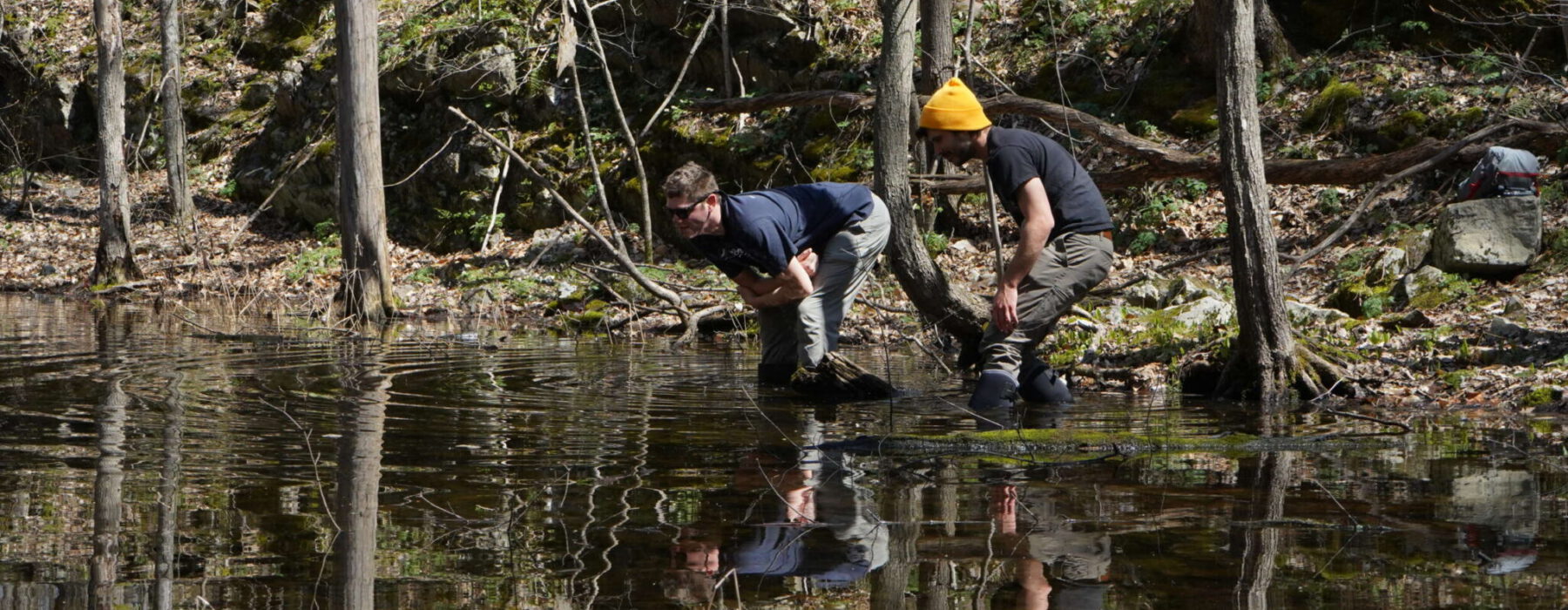 VCE staff investigating pond ecology