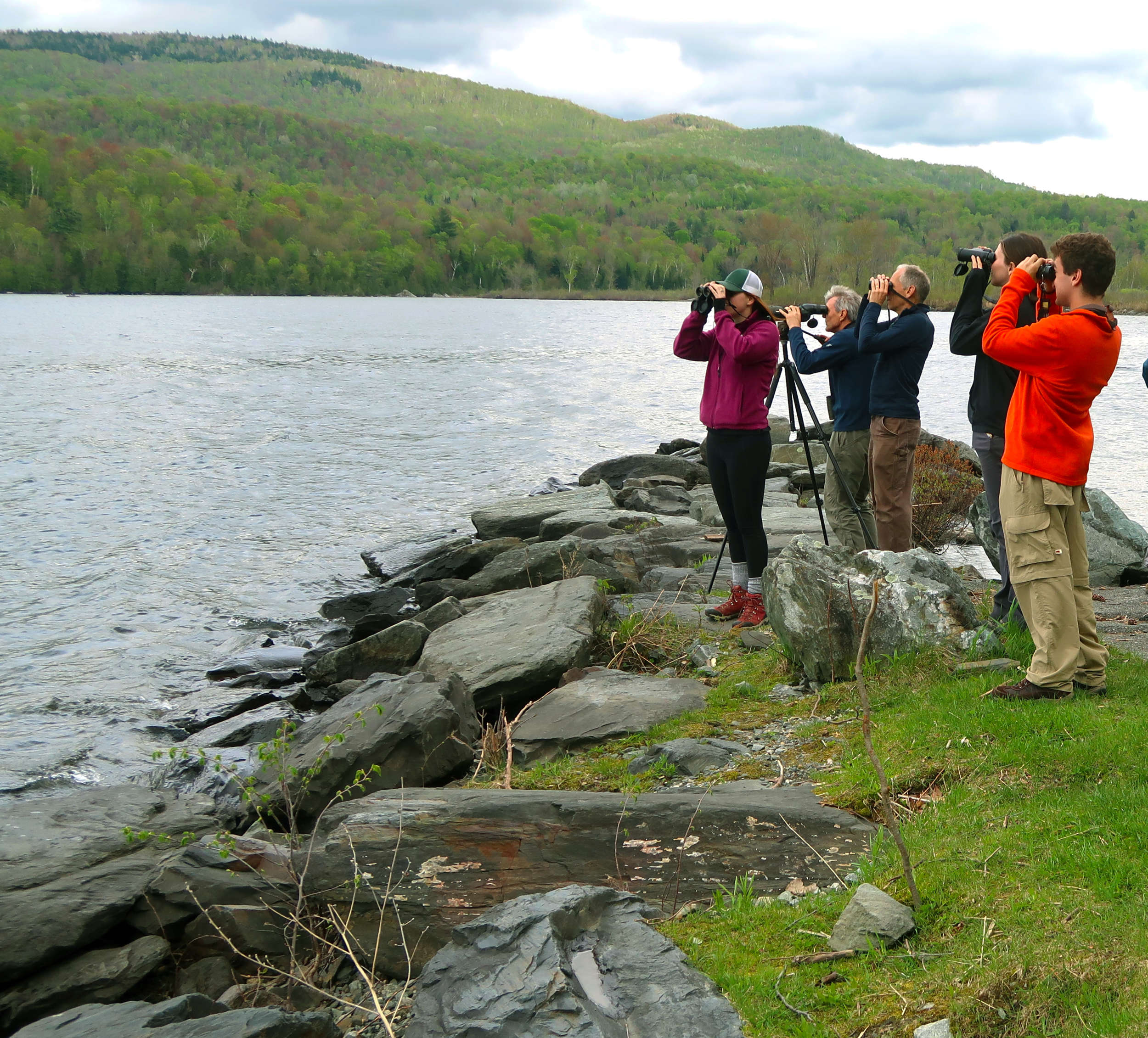 walden-crash-release-rhea-apicelli-2