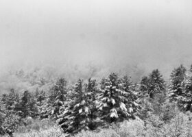 Field Guide to January 2026