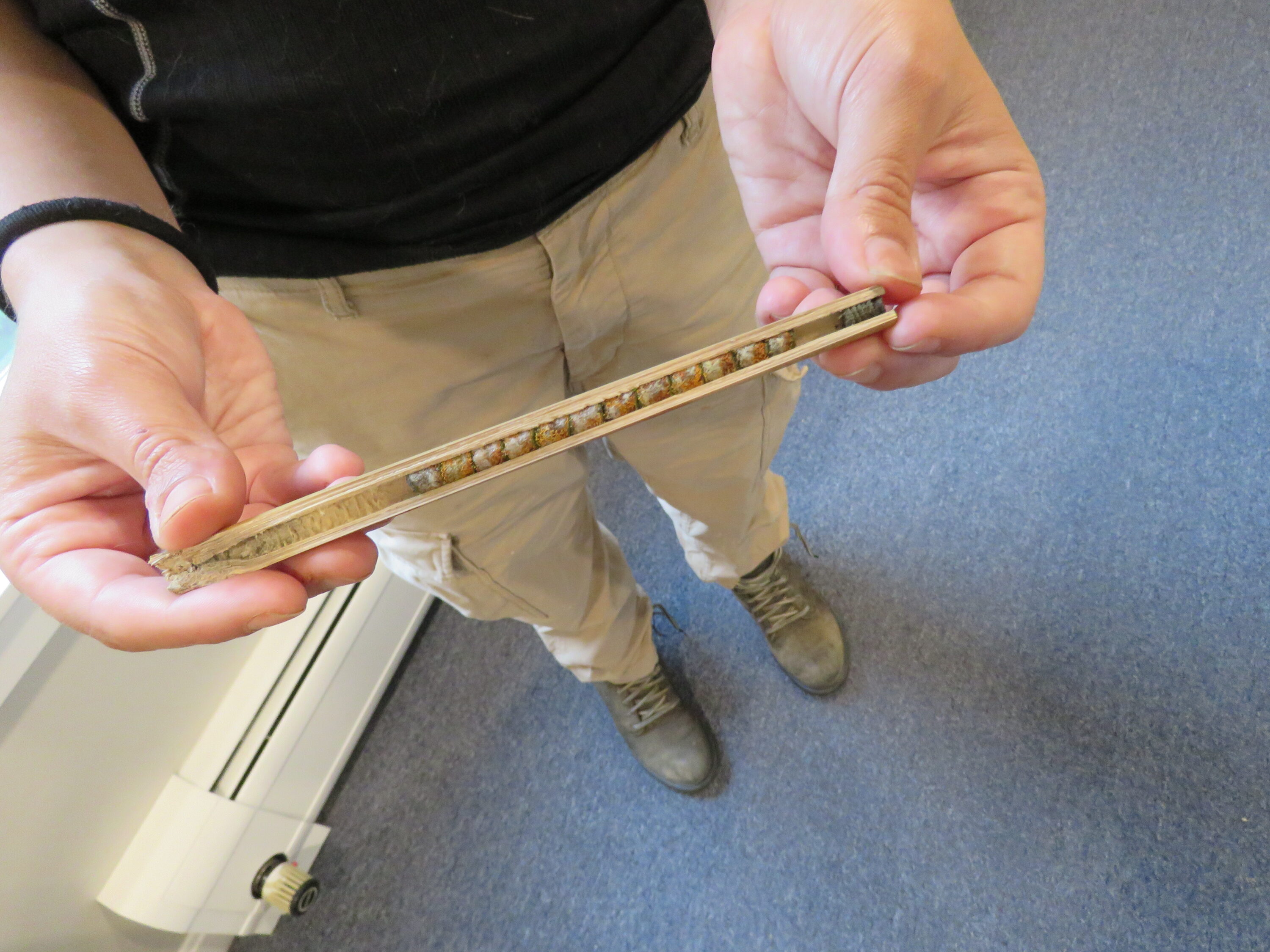 VCE biologist John Lloyd deploying an autonomous bird recording device and camera on Mt. Mansfield in April under blue skies and a light snow pack. / © K.P. McFarland