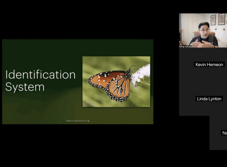 Zoom webiner introduction to eButterfly