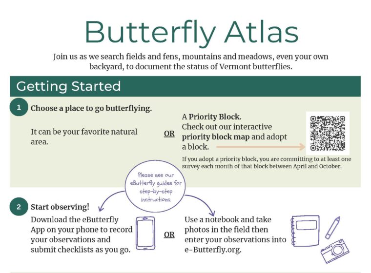 Butterfly Atlas