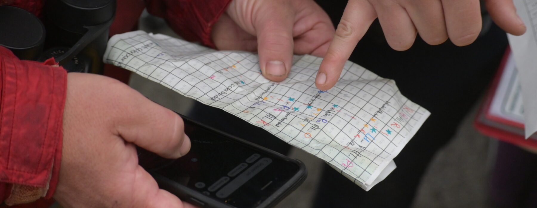 Catching Bobolinks in the Galapagos to determine the blood parasites it brings to the islands. 