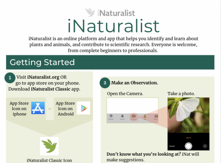 iNaturalist quickstart guide