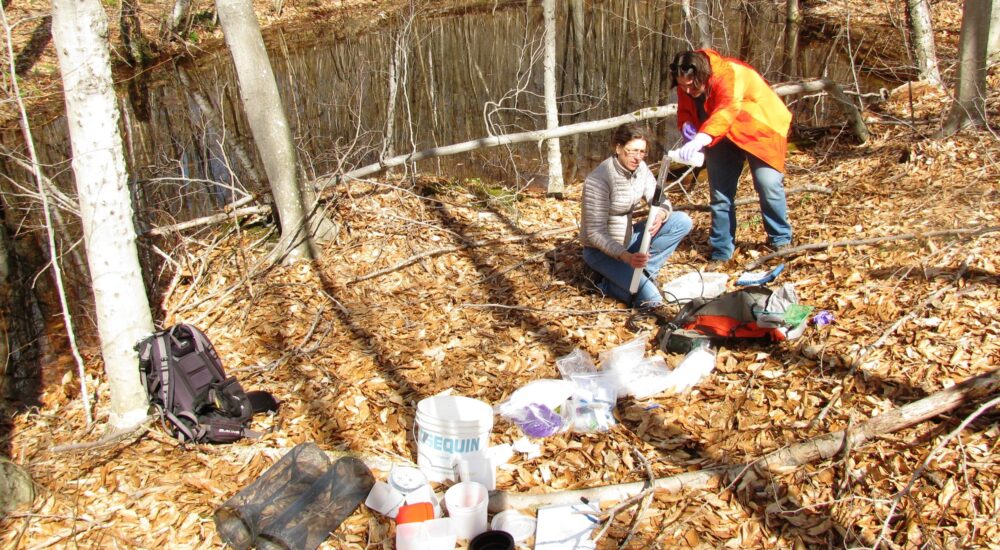 Co-authors and Dartmouth Research Associates, Dr. Vivien F. Taylor (left) and Kate L. Buckman, collecting water samples from a vernal pool in Sharon, VT for mercury analysis.  © Steve Faccio