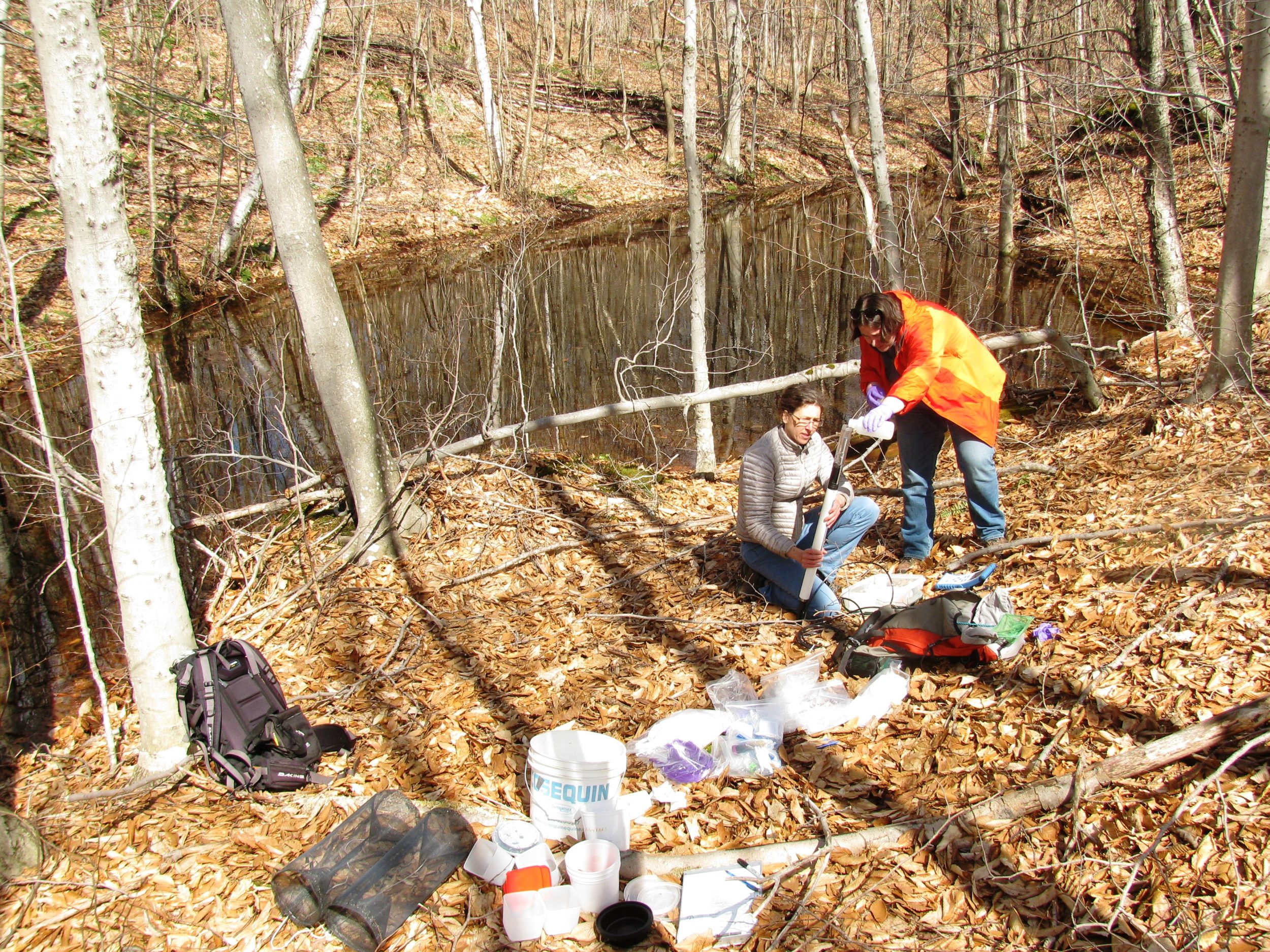 Autumn view from Okemo Mountain fire tower. /© K.P. McFarland