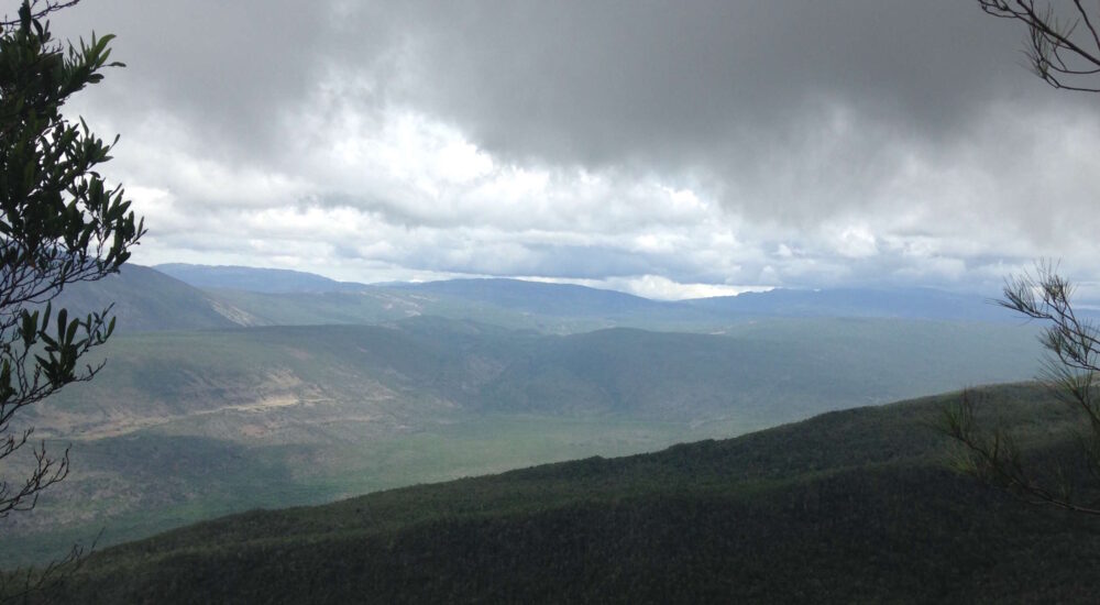 Sierra de Bahoruco National Park is home to an enormous diversity of plants and animals and is a critical source of clean water for people.