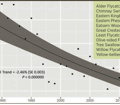 aerial insectivore birds declining