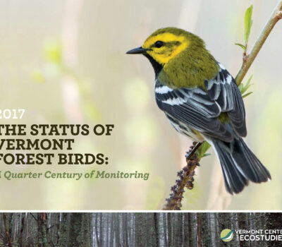 Report cover: The Status of Vermont Forest Birds: A Quarter Century of Monitoring