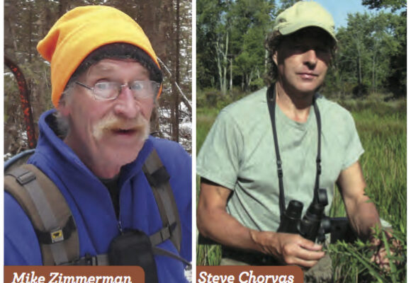 Moth watching on a warm night on my back deck. The black light is an old 'bug zapper' that has had the zapping parts removed.  