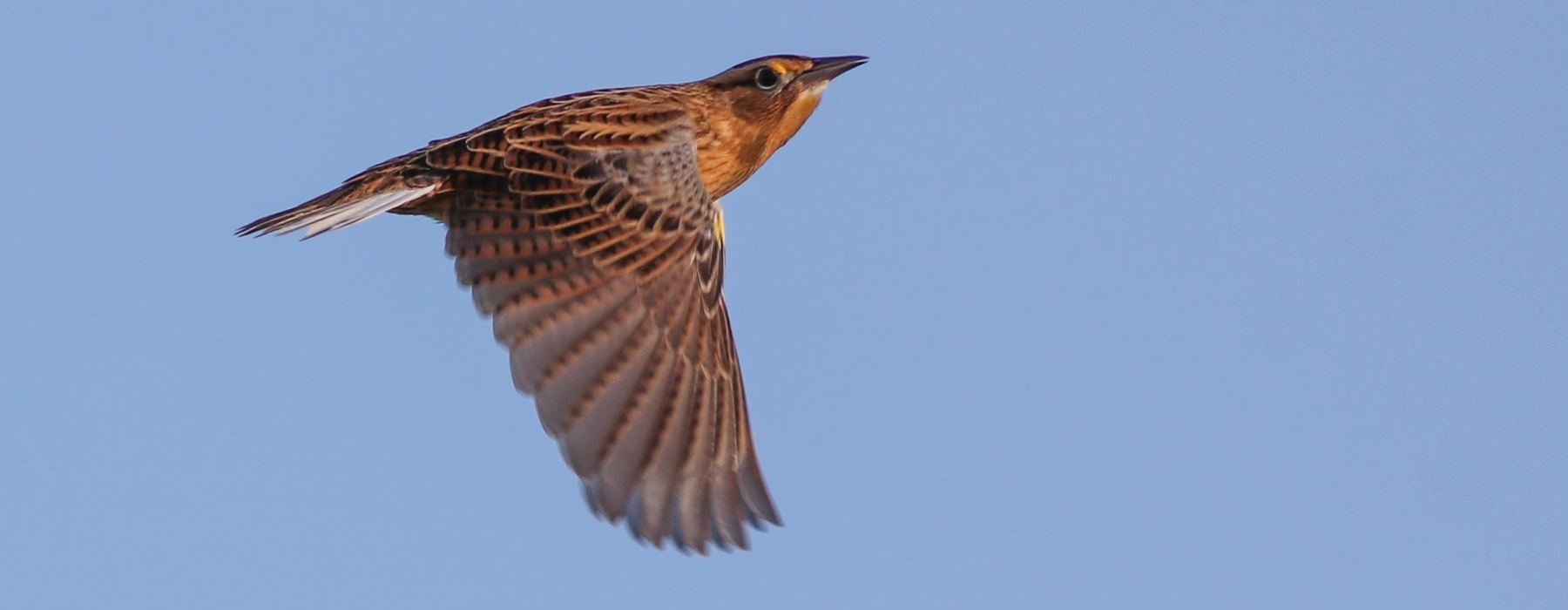 Night on MT M_#1-5562