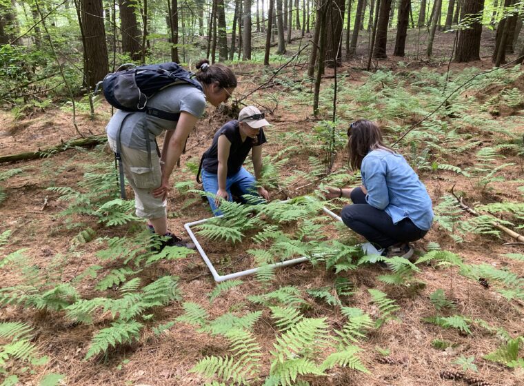 Science teachers learning to survey