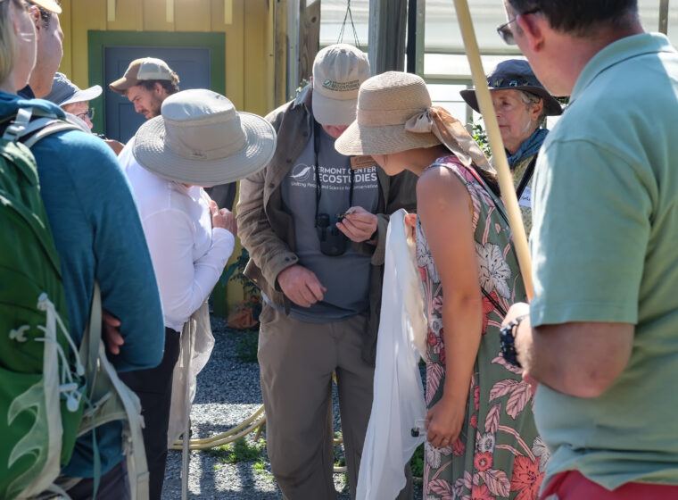 Kent McFarland speaks to a group about butterflies