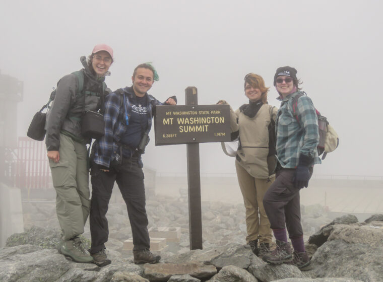 2025 Science interns on a pollinator walk at the top of Mount Washington