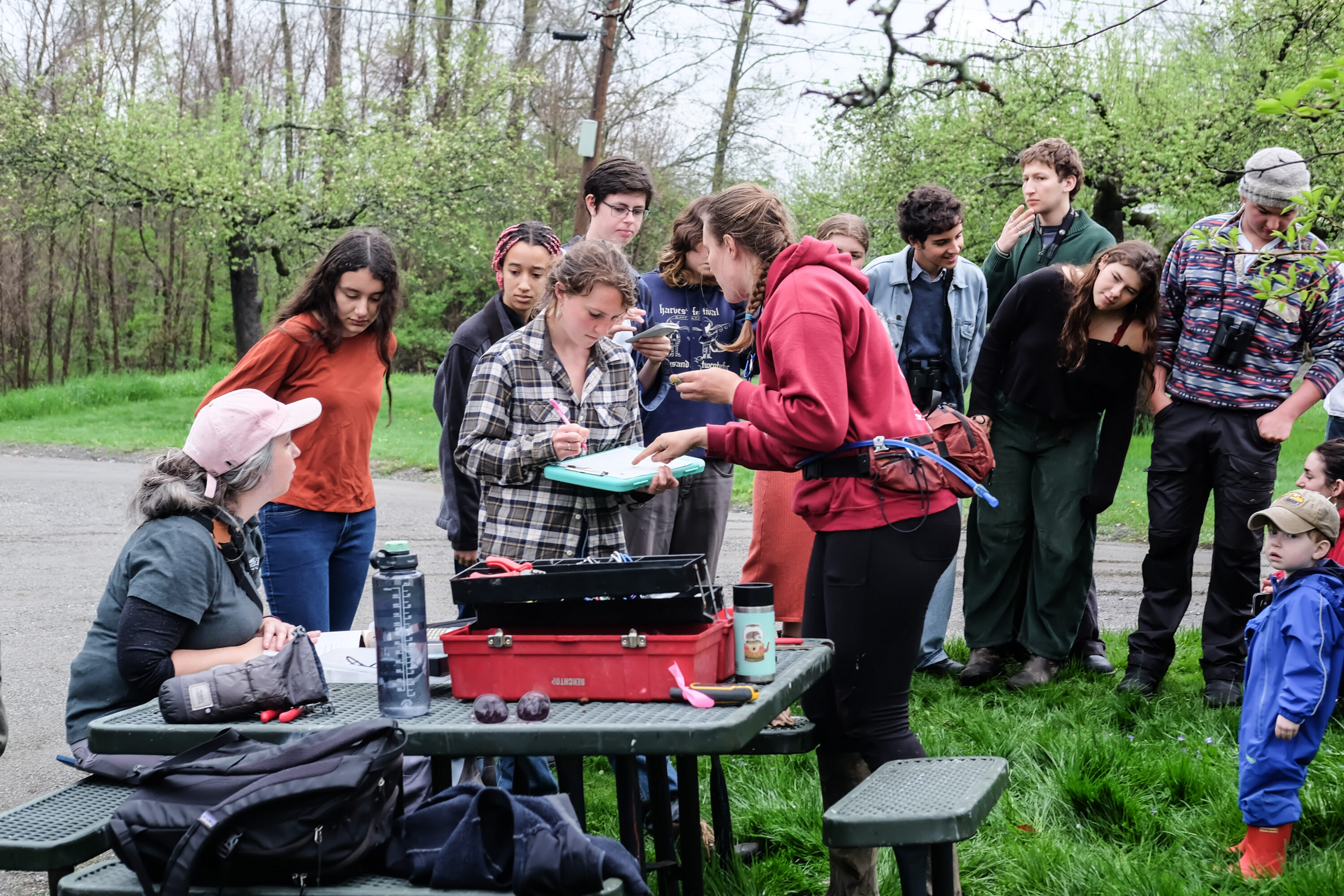 A 360 degree panorama of deforestation in Sierra de Bahoruco National Park. Click on the image to visit a full panorama. 