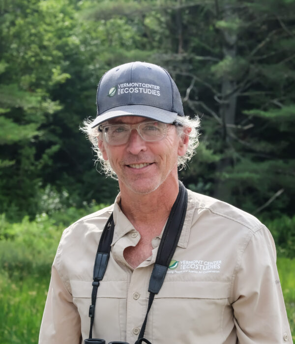 Northern red anemone (Urticina felina). / © K.P. McFarland