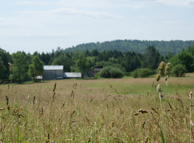 A large former farm parcel in southern Vermont