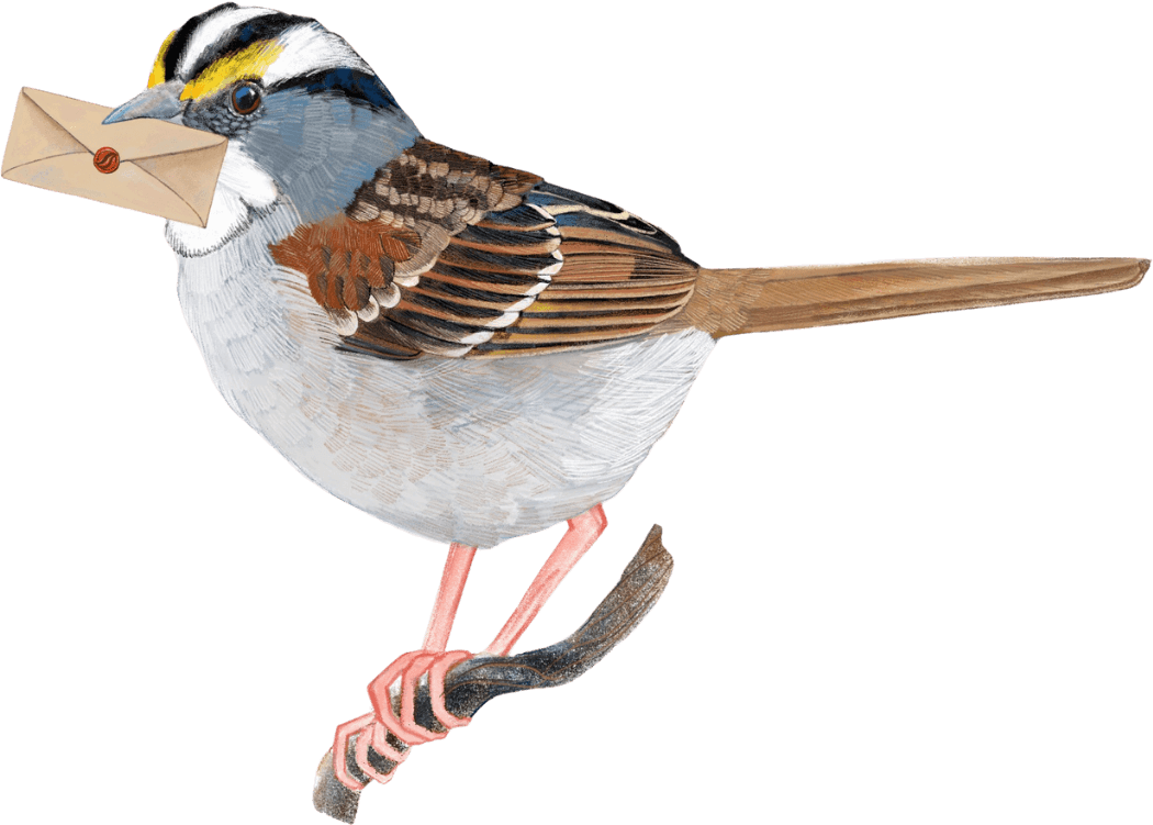 Steve Chorvas enjoys a butterfly walk at Esopus Bend Nature Preserve in Saugerties.
