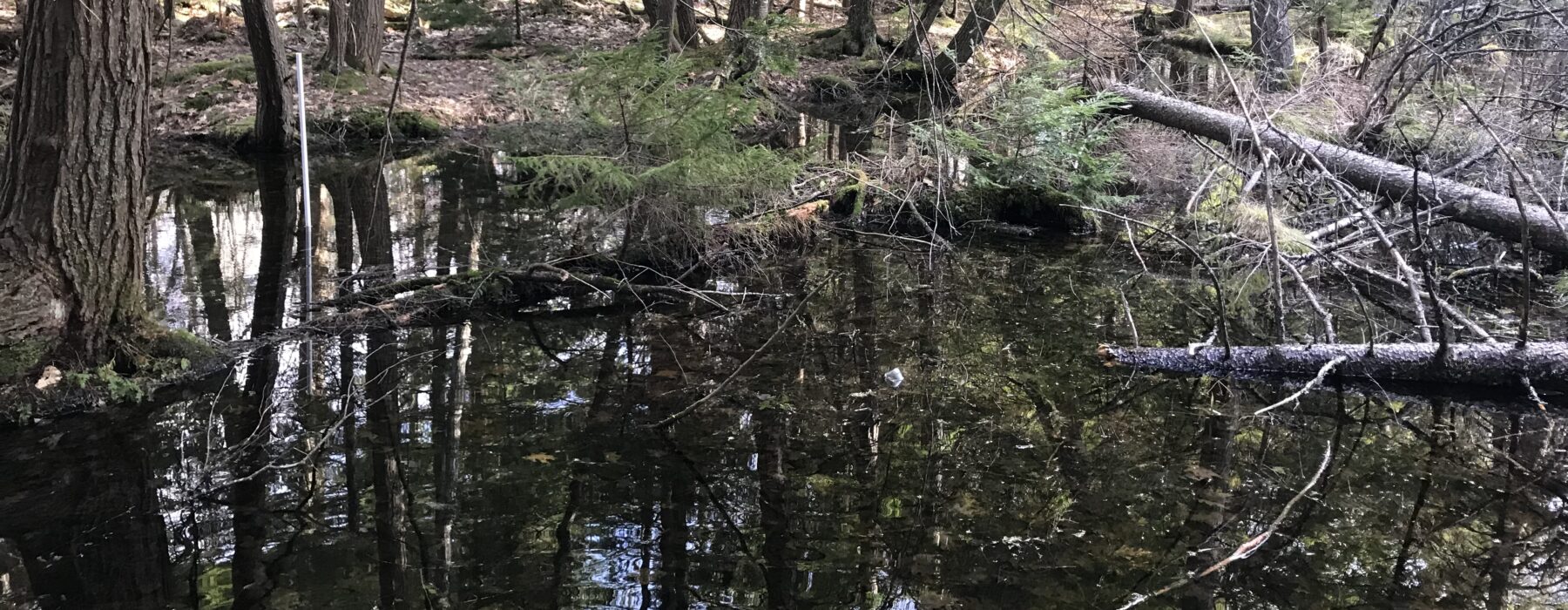 The fall 2016 migration route (>10,000 km, so far) of an Upland Sandpiper that bred in Kansas. This Upland Sandpiper was fitted with a solar-powered satellite tag in April, 2016 at Konza Prairie, Kansas. Since leaving Kansas in July, she has visited nine additional countries on her southward journey. Map created in ArcGIS.