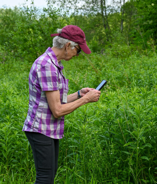 Nan Cochran, Trustee