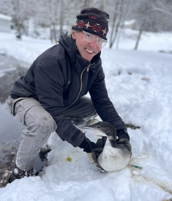 Eric Hanson, Loon Biologist