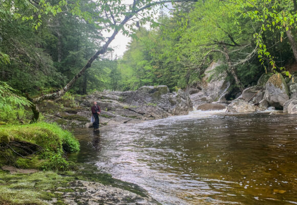 VCE Associate Director Dan Lambert fly fishing Moosilauke Brook in the White Mountain National Forest between Kinsman Notch and North Woodstock, NH &copy; © Chris Kennedy