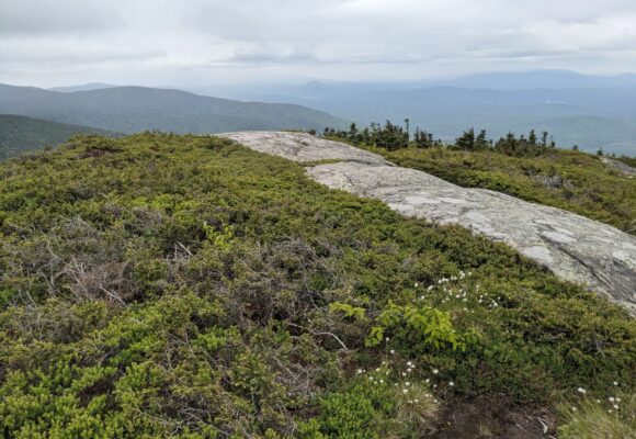 Long Trail from Mount Ellen, VT, on the northern edge of the Green Mountain National Forest &copy; © Kateri Kosek, Mountain Birdwatch volunteer