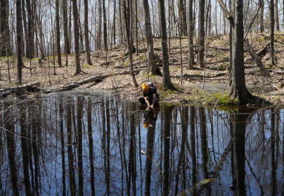 Nathaniel Sharp investigating a vernal pool &copy; Emily Anderson