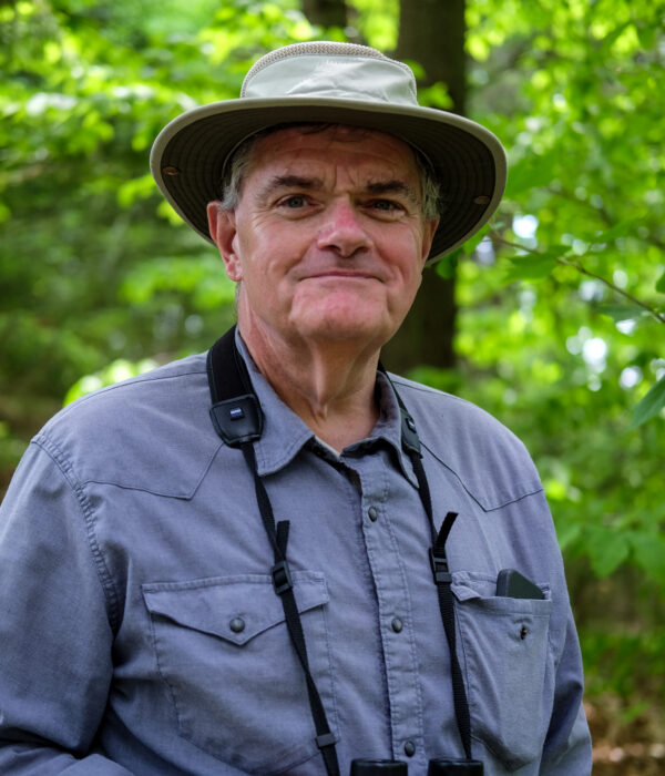 Clive Wood, Trustee