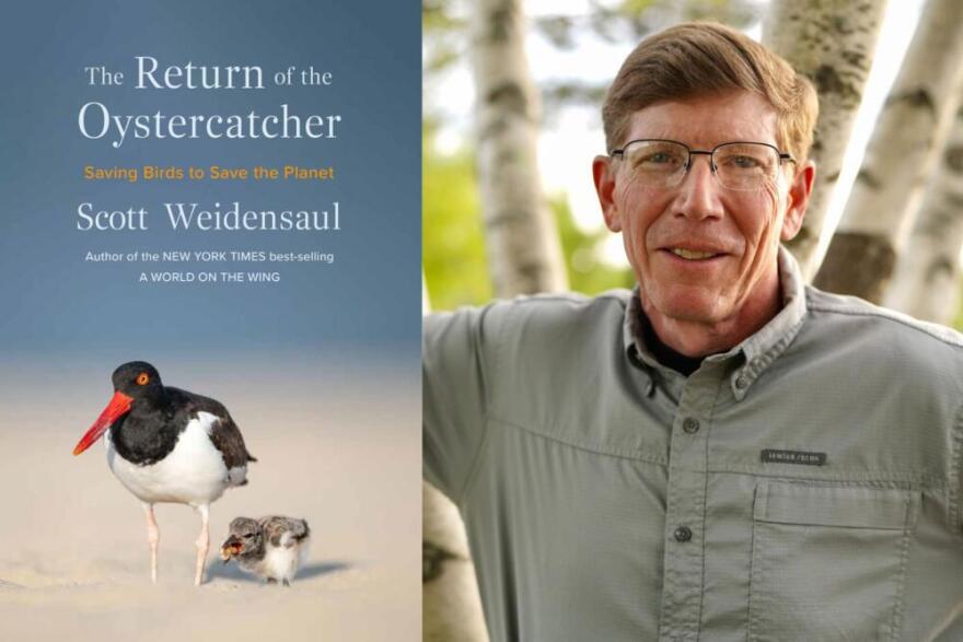 Ornithologist Scott Weidensaul and the cover of his latest book The Return of the Oystercatcher