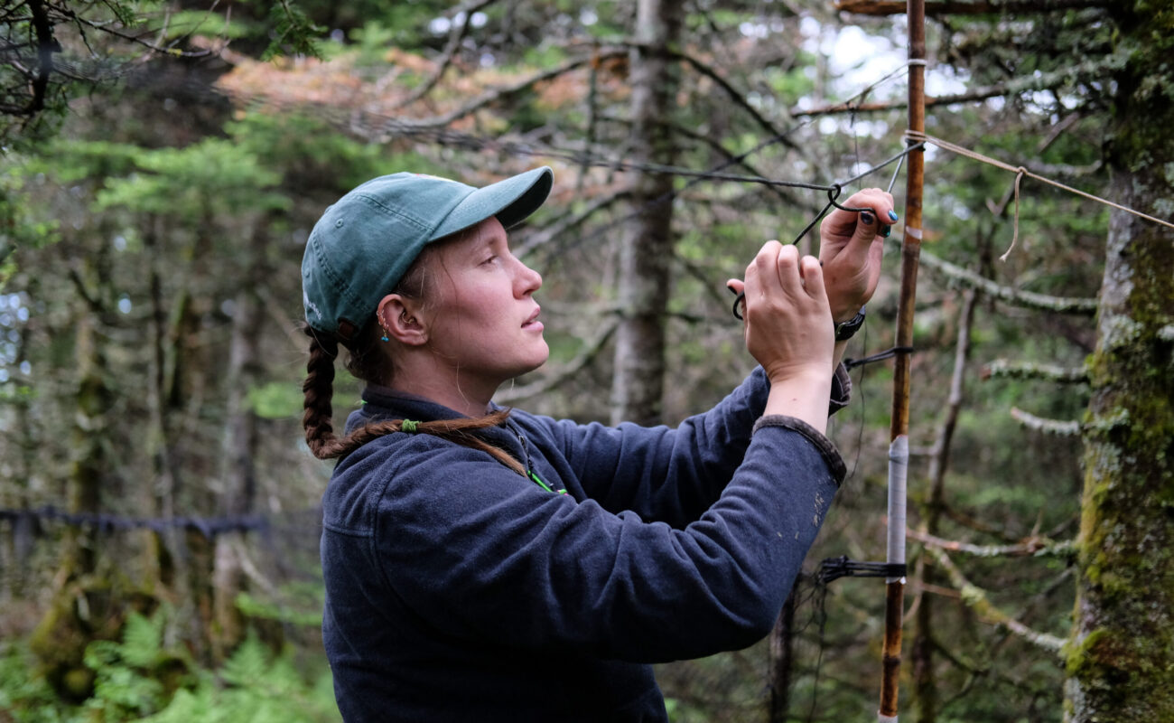 A woman ties a delicate net to a pole